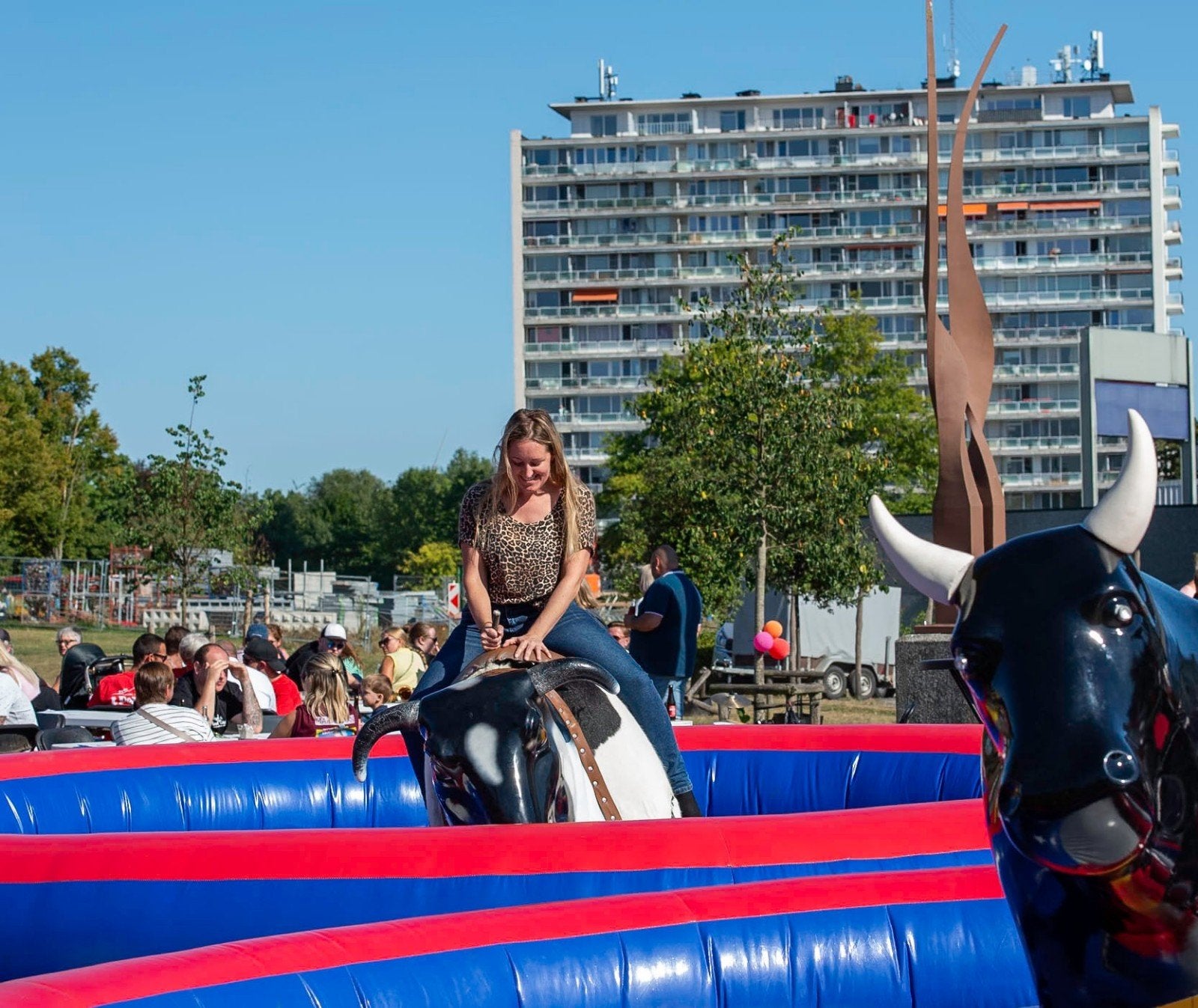 rodeo stier verhuur 350€ vaste prijs alles inbegrepen