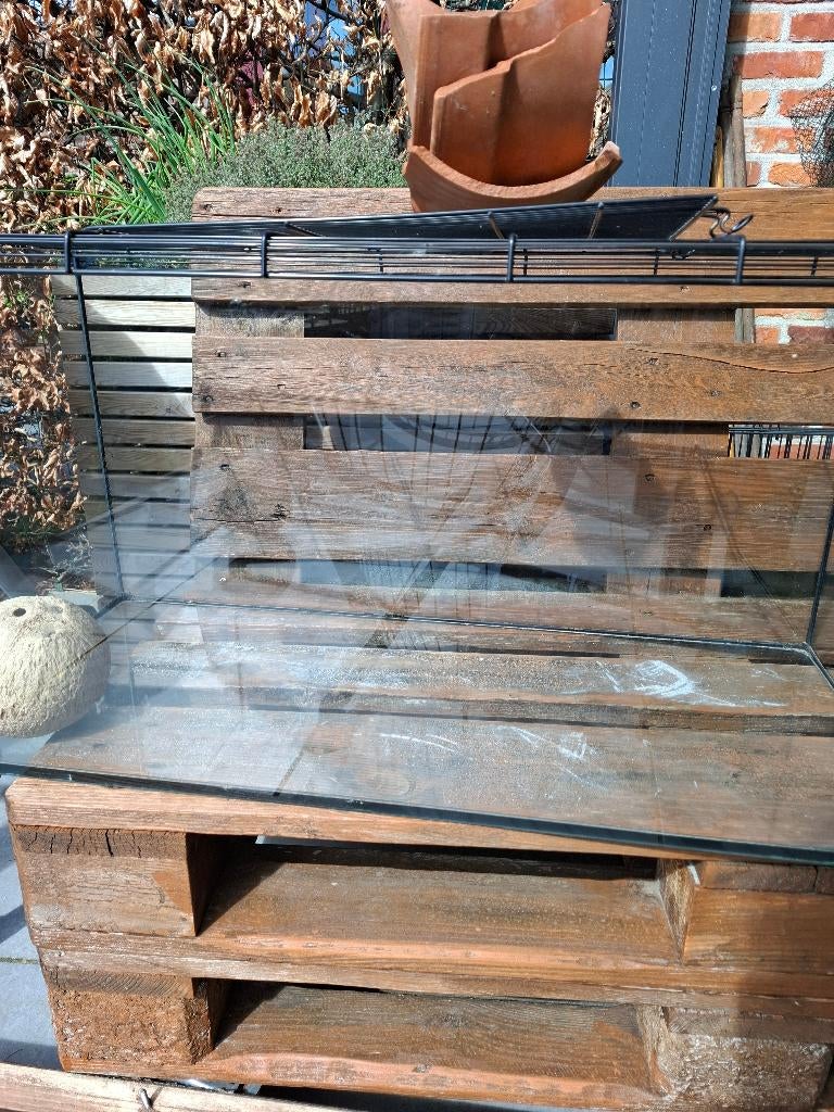 Glazen kooi voor kleine naagdieren, Kooi, Zo goed als nieuw, Muis, 75 tot 110 cm