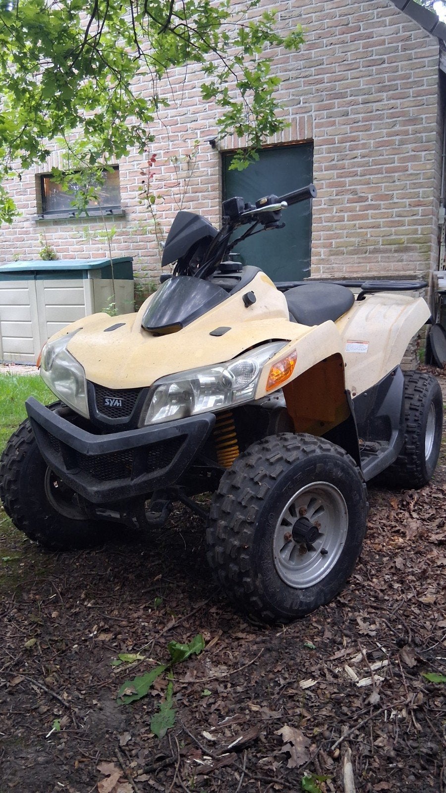 Quad Sym Quadlander 260 met werk aan!, Motoren