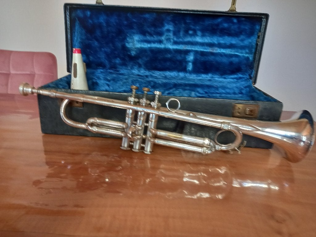 trompet met koffer, Muziek en Instrumenten, Blaasinstrumenten | Trompetten, Ophalen, Met koffer