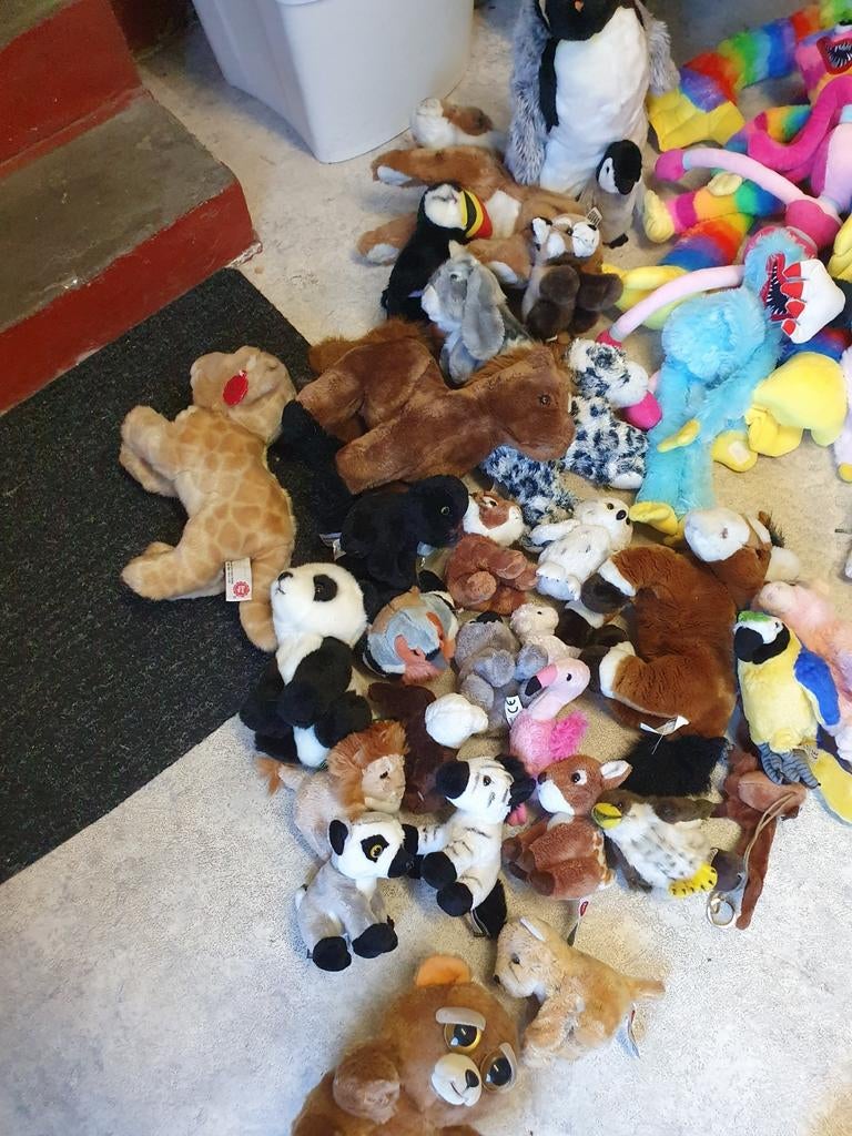 Vele knuffel dieren zoo en planckendael, Ophalen