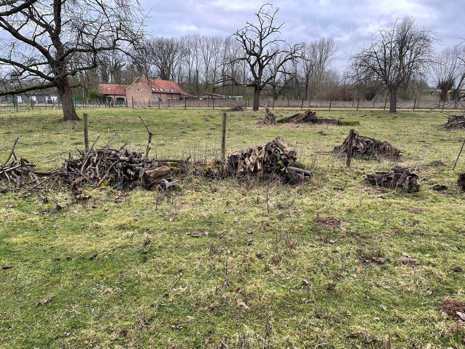Brandhout kers, 3 tot 6 m³, Ophalen