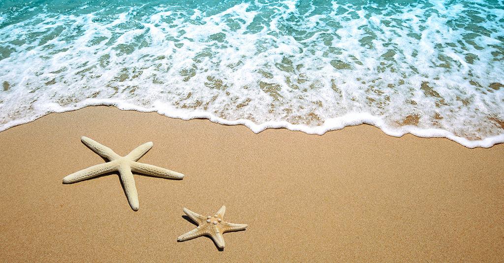 Reisgenoot gezocht - Naturistenvakantie