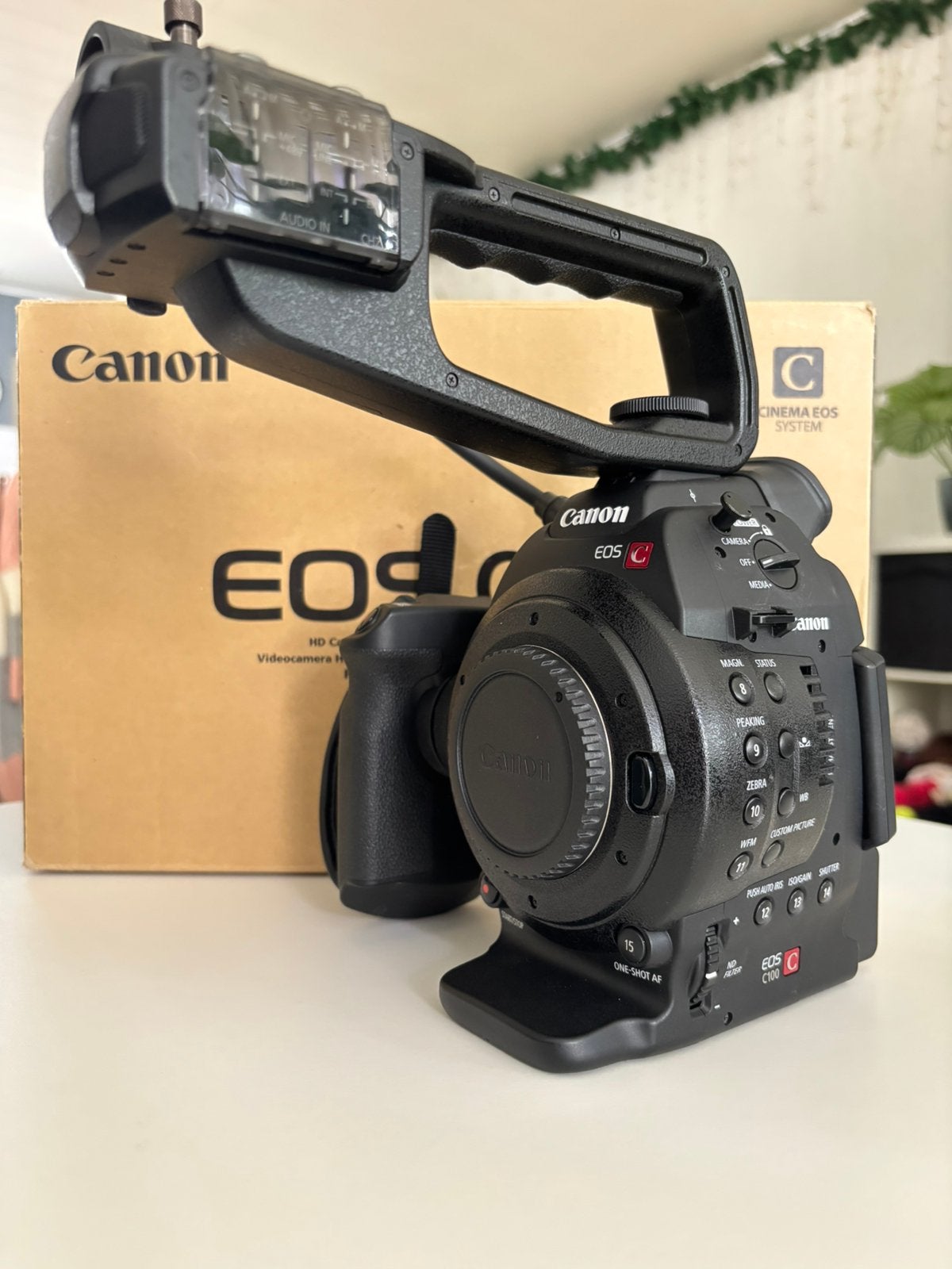 Canon C100 zgan met DAF en 3x BP979, Audio, Tv en Foto, Ophalen, Zo goed als nieuw, Canon