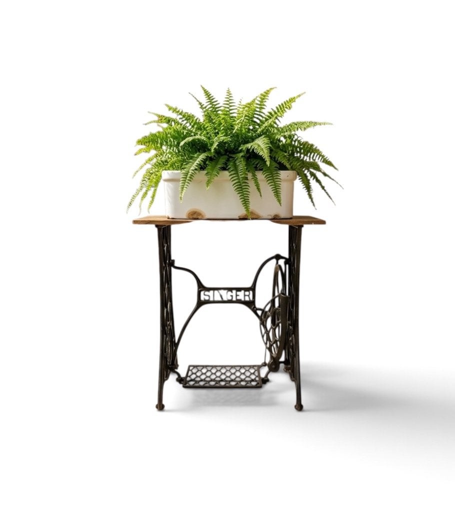 Singer planten tafel bloembak, Jardin & Terrasse, Enlèvement