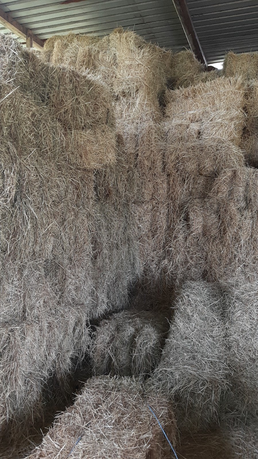 Hooi in kleine pakken, Dieren en Toebehoren, Dierenvoeding, Ophalen