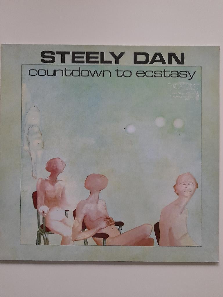 Steely Dan, Cd's en Dvd's, Vinyl | Rock, Beschermende buitenhoes, Ophalen of Verzenden, Zo goed als nieuw, Poprock