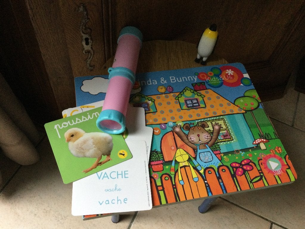 LOT DE JEUX-ACCESOIRES-LIVRE/DIVERS USAGES, Enlèvement ou Envoi