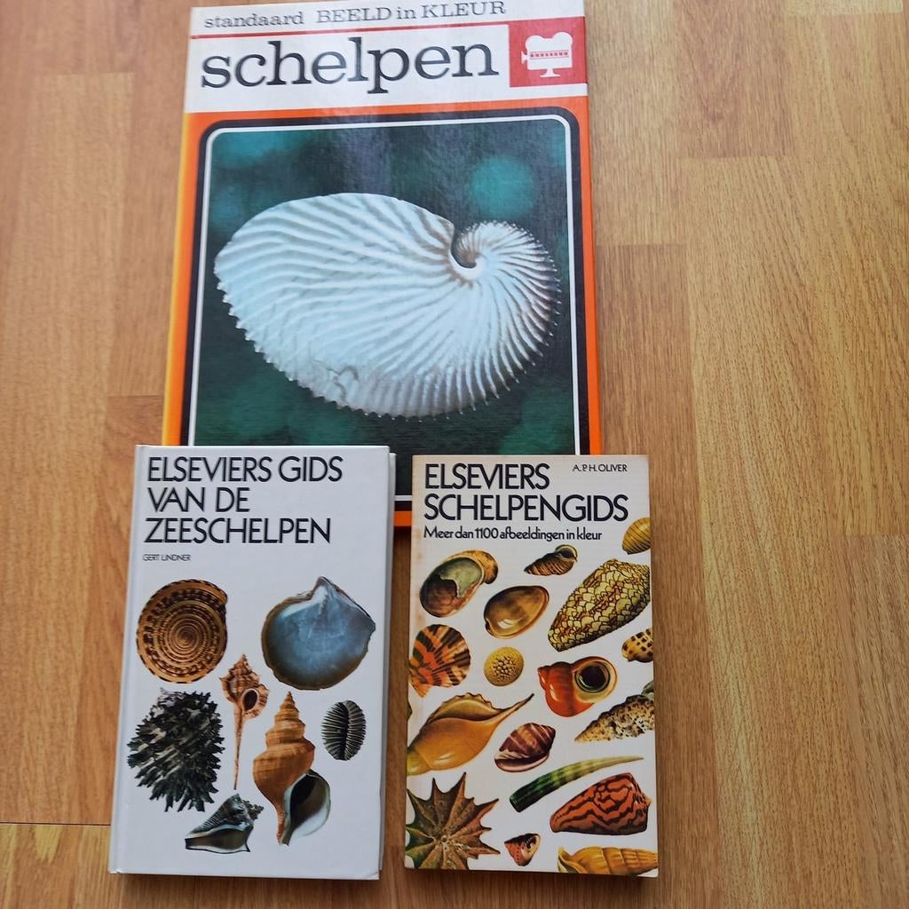 SCHELPEN> HOE MOOI ZIJN DIE  NIET ? ❤️🧡💛, Boeken, Ophalen of Verzenden