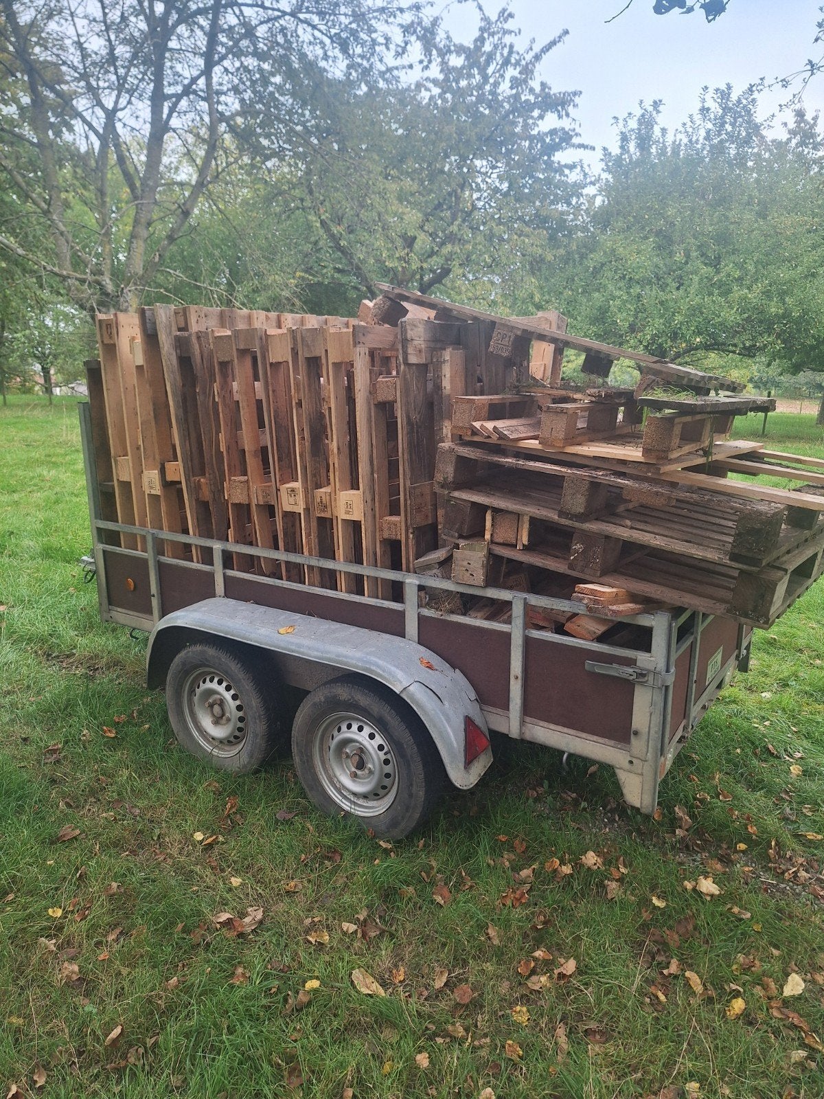 pallets voor brandhout, Ophalen