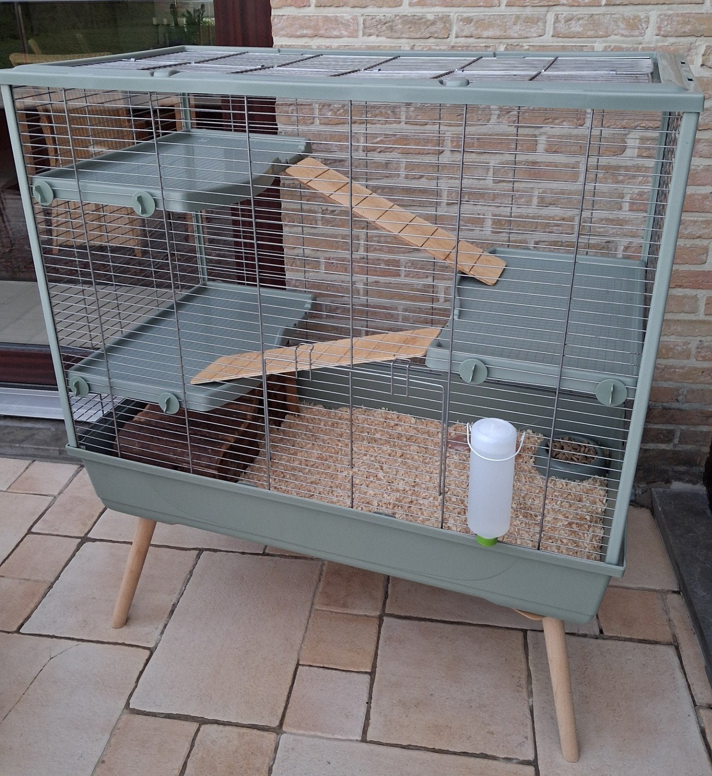 Mooie grote kooi met 2 mannelijke ratjes, Animaux & Accessoires, Rongeurs, Avril, Rat, Domestique