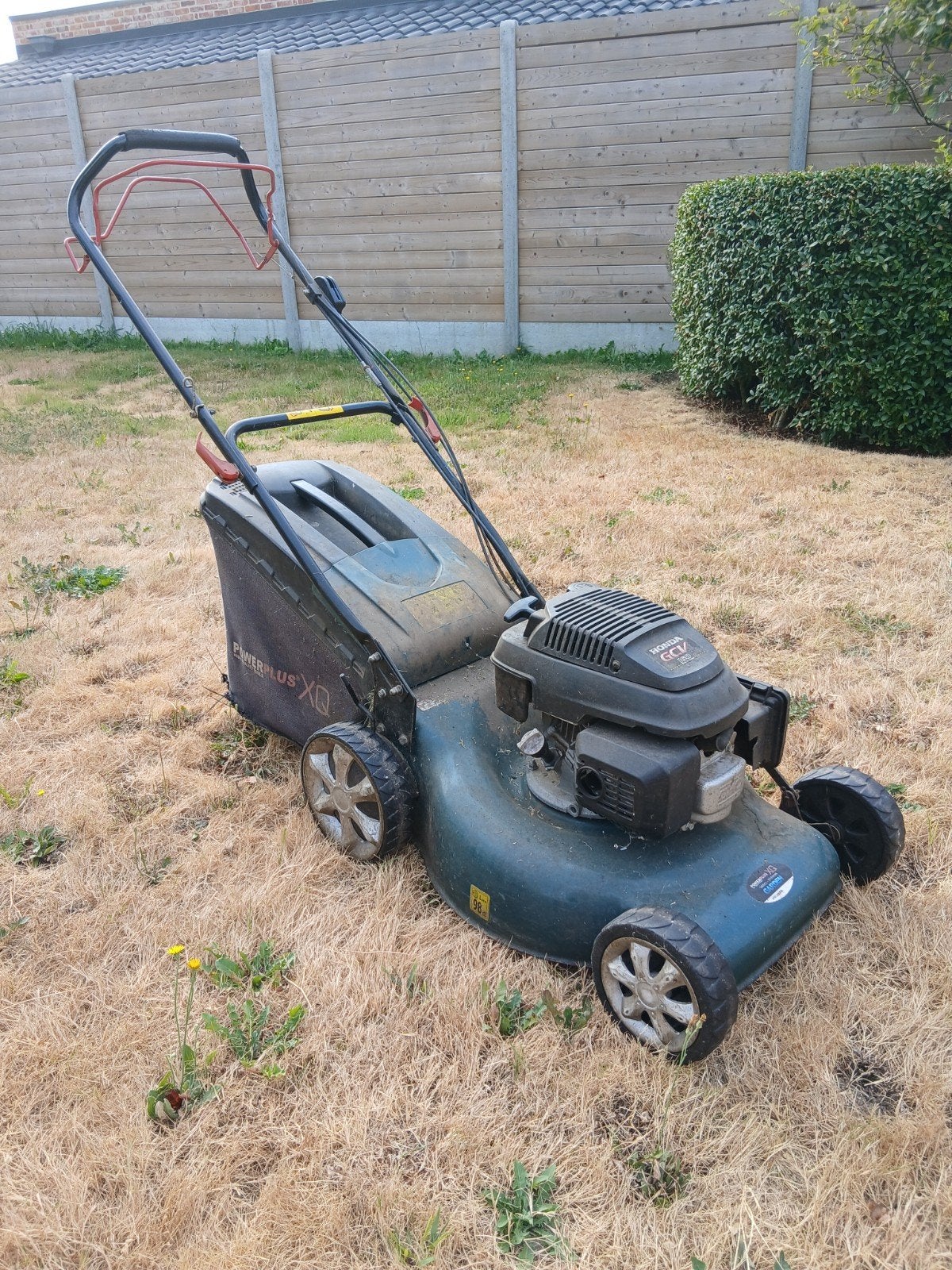 Autoporteur pour tondeuse à gazon à essence Powerplus XQG757, Tondeuse rotative, Utilisé, Powerplus garden, Sac de ramassage