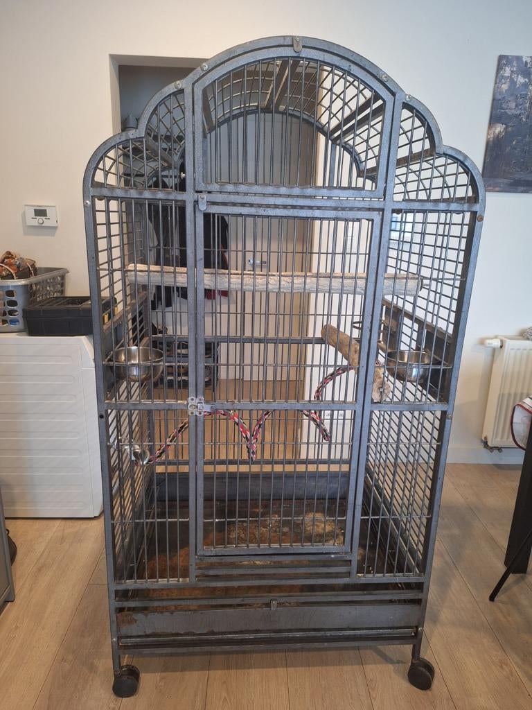 Kooi papegaai met toebehoren, Dieren en Toebehoren, Ophalen, Vogelkooi