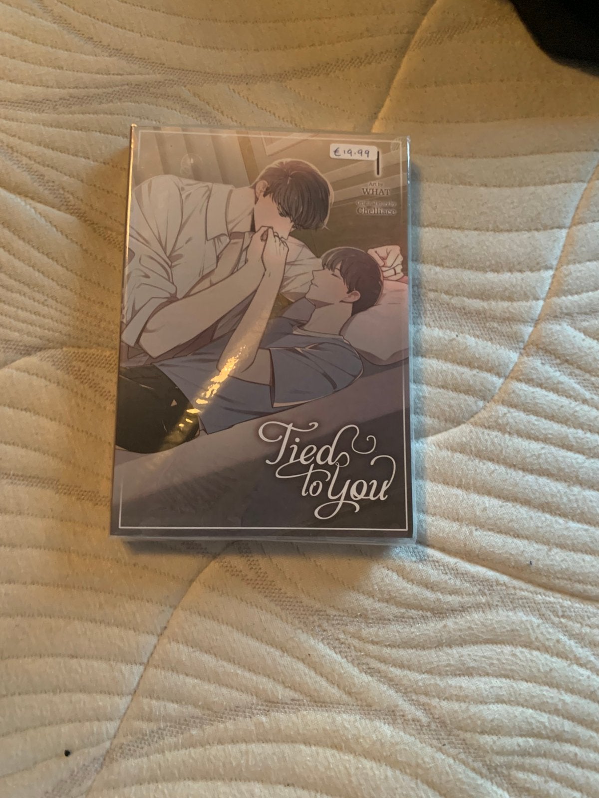 Tied to you 1 bl manga, Cd's en Dvd's, Ophalen of Verzenden, Zo goed als nieuw