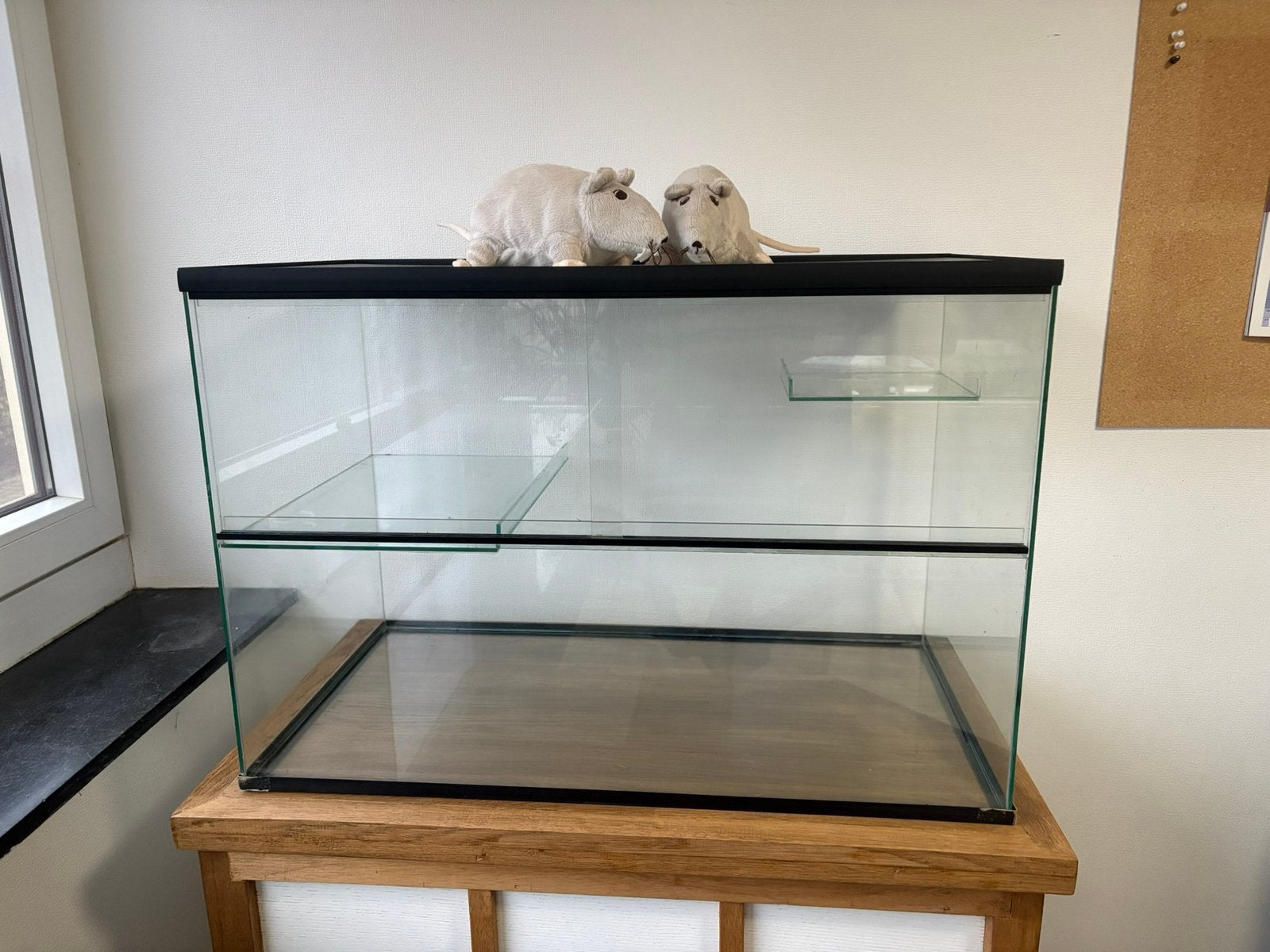 Complete Knaagdieren/Hamster Terrarium, Dieren en Toebehoren, Knaagdieren en Konijnen | Hokken en Kooien, Zo goed als nieuw, Hamster