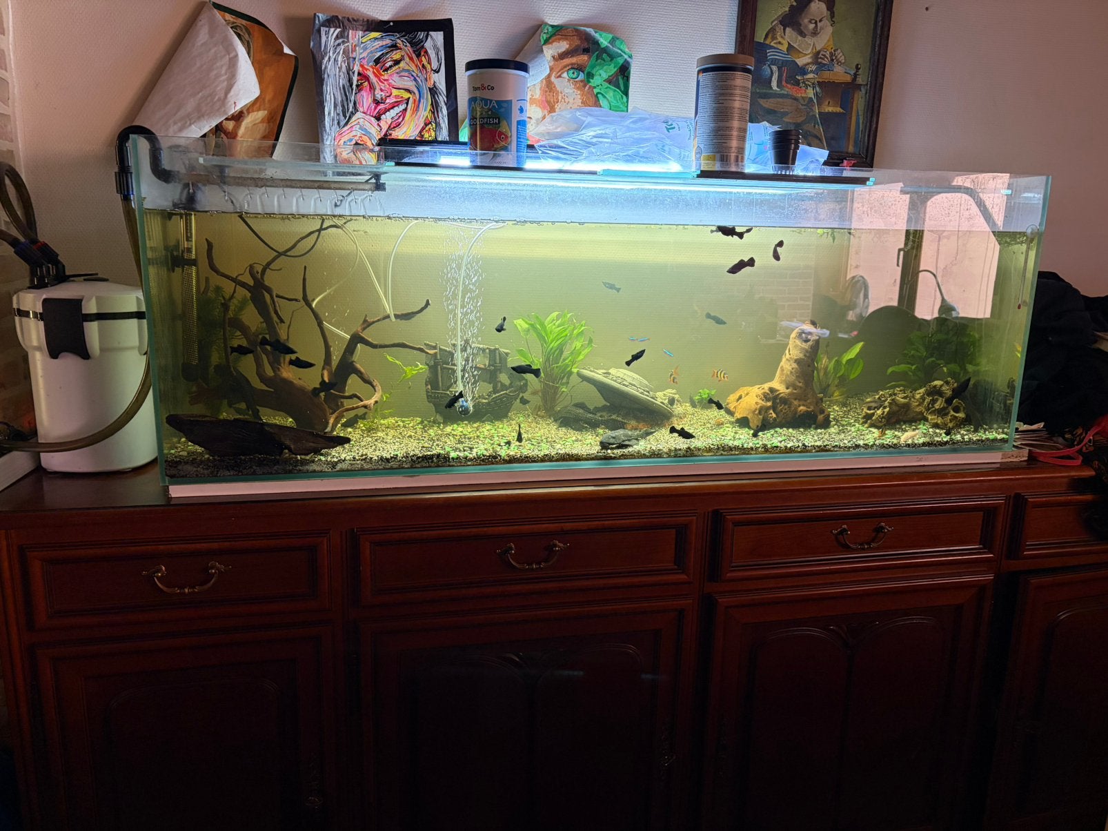 Aquarium 500 liter te koop, Dieren en Toebehoren, Ophalen, Zo goed als nieuw