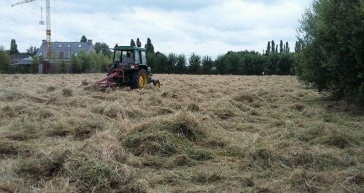 hooi, Dieren en Toebehoren, Paarden