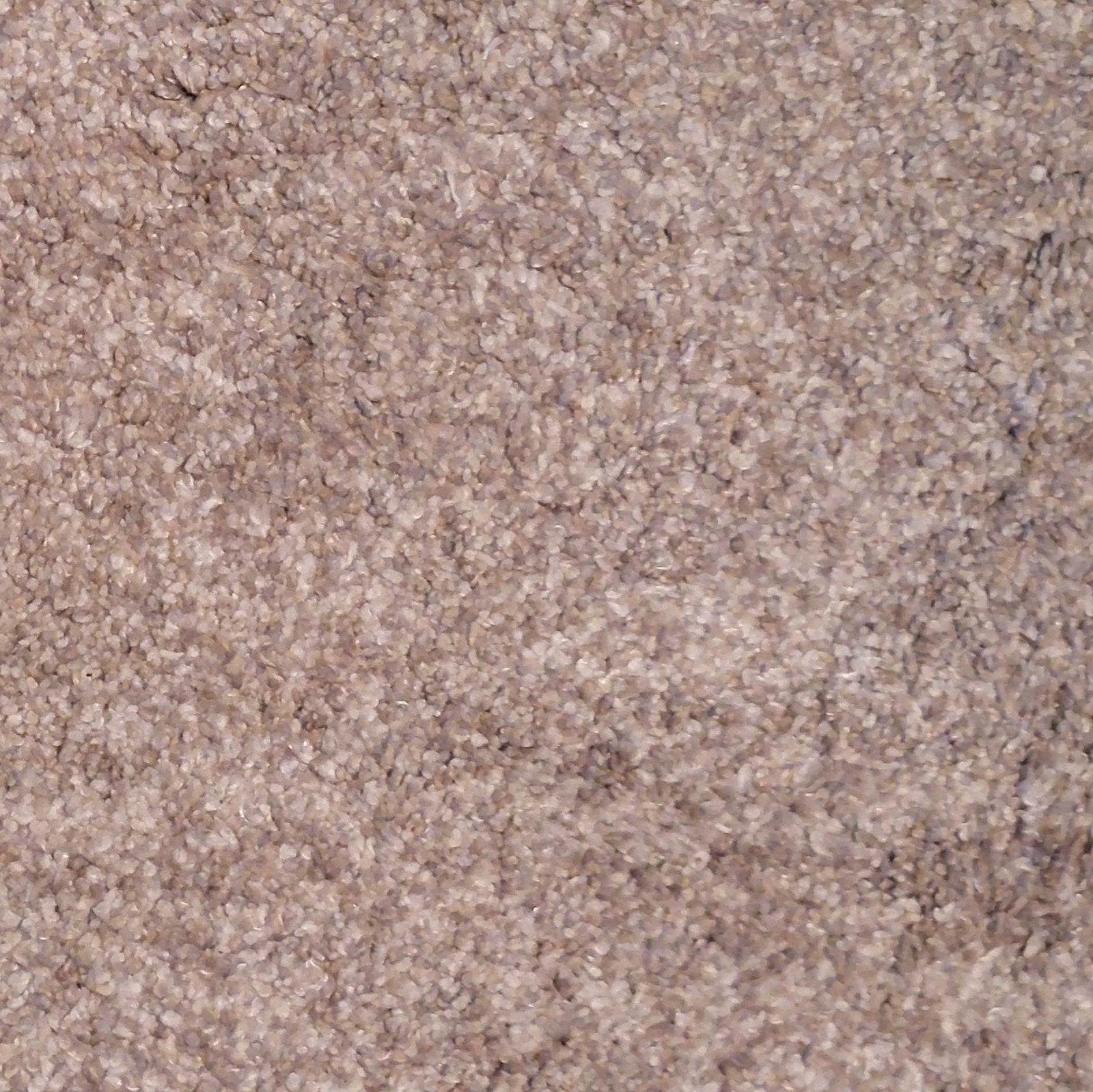 Beige tapijt Te Koop, Ophalen, Beige, Tapijt