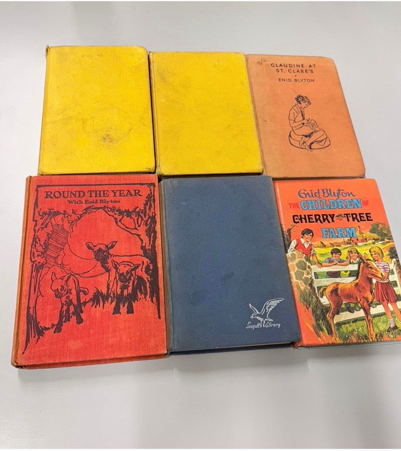 6 Hardcover boek Enid Blyton, dog stories, the boy next door, Boeken, Ophalen of Verzenden