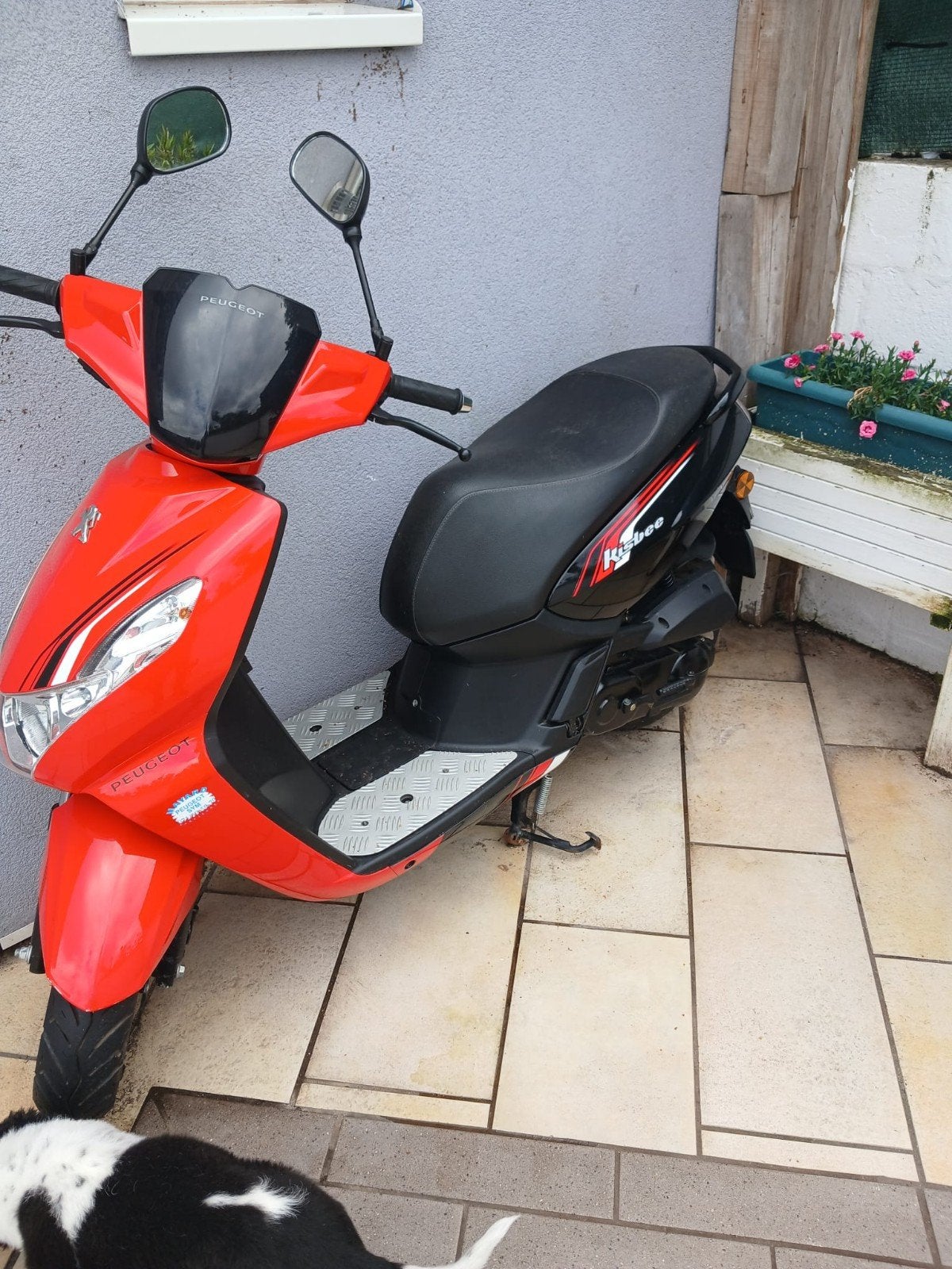 scooter kisbee 375km classe a, Vélos & Vélomoteurs, Scooters | Peugeot, Enlèvement, Comme neuf, Classe A (25 km/h)