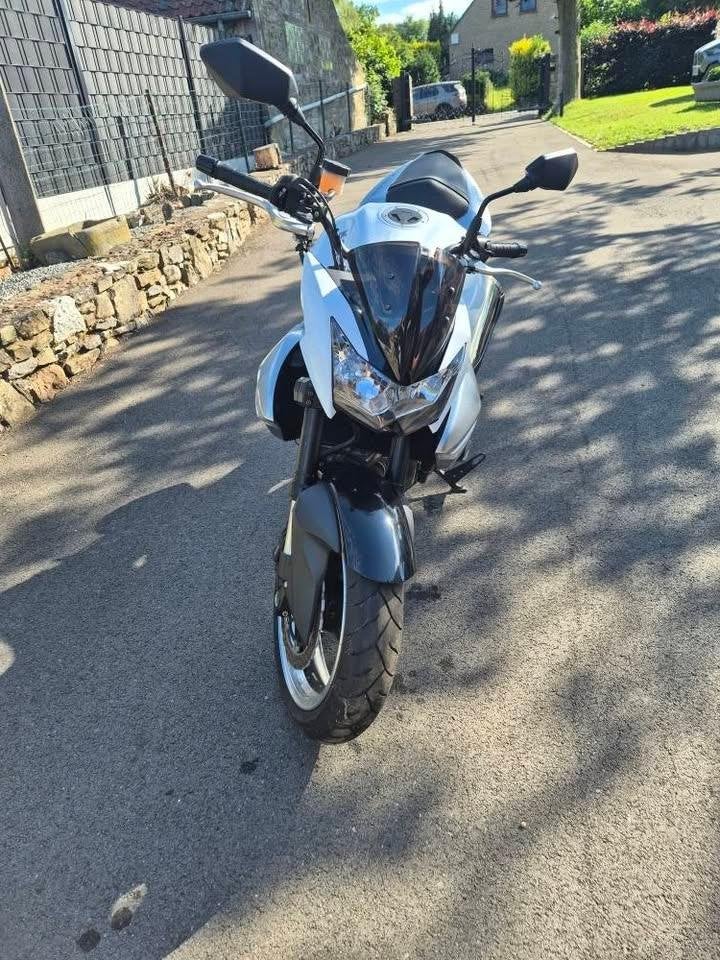 Kawasaki Z1000 - 2008 - Zeer lage kilometerstand (3.239 km), Motoren, Occasion, 4 cilinders, 953 cc, Particulier