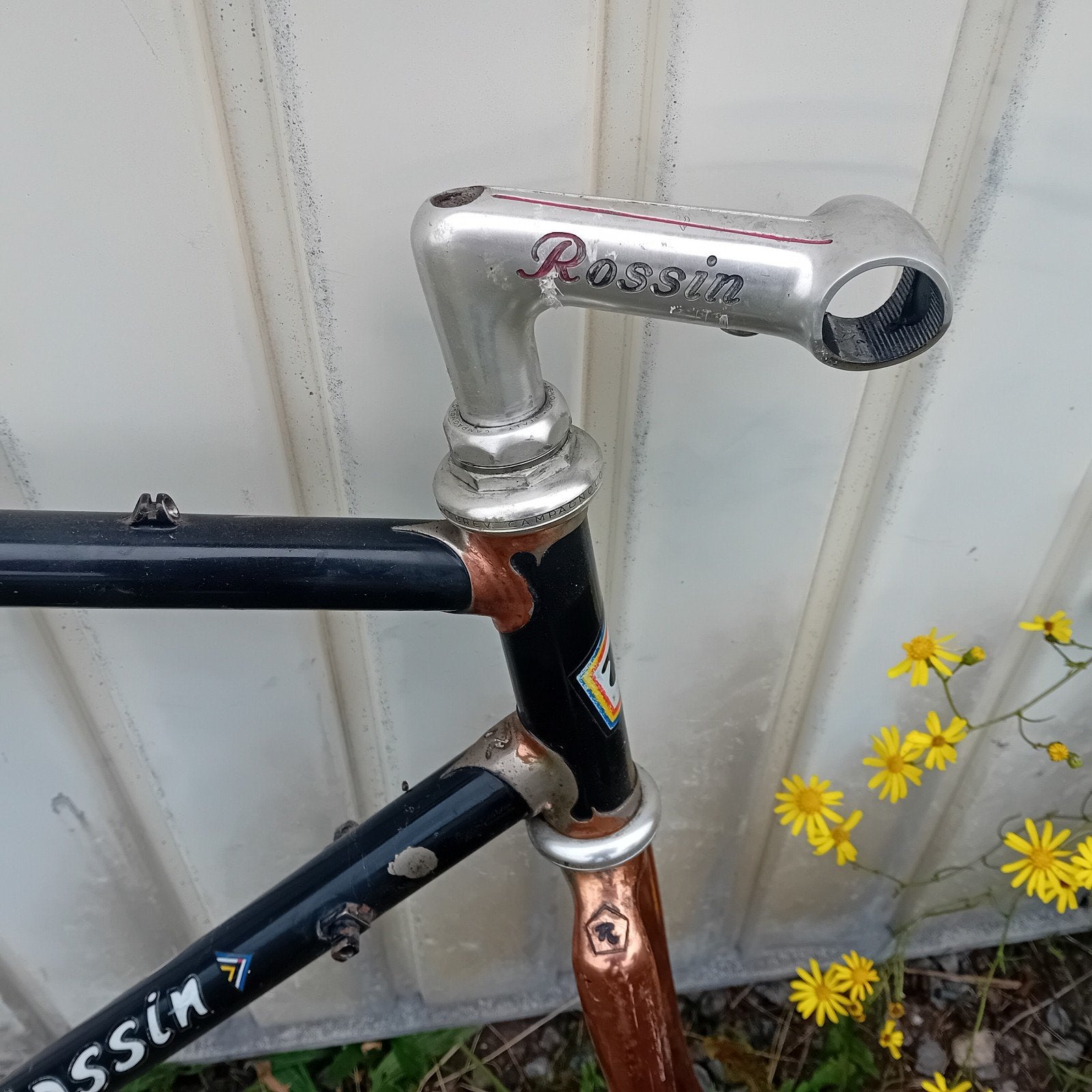 Rare cadre rossin super record a restaurer.., Vélos & Vélomoteurs, Vélos Pièces, Cadre, Enlèvement