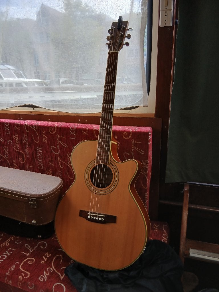 Tanglewood acoustic guitar met Gibson hardcase, Ophalen, Gebruikt, Western- of Steelstringgitaar, Met koffer