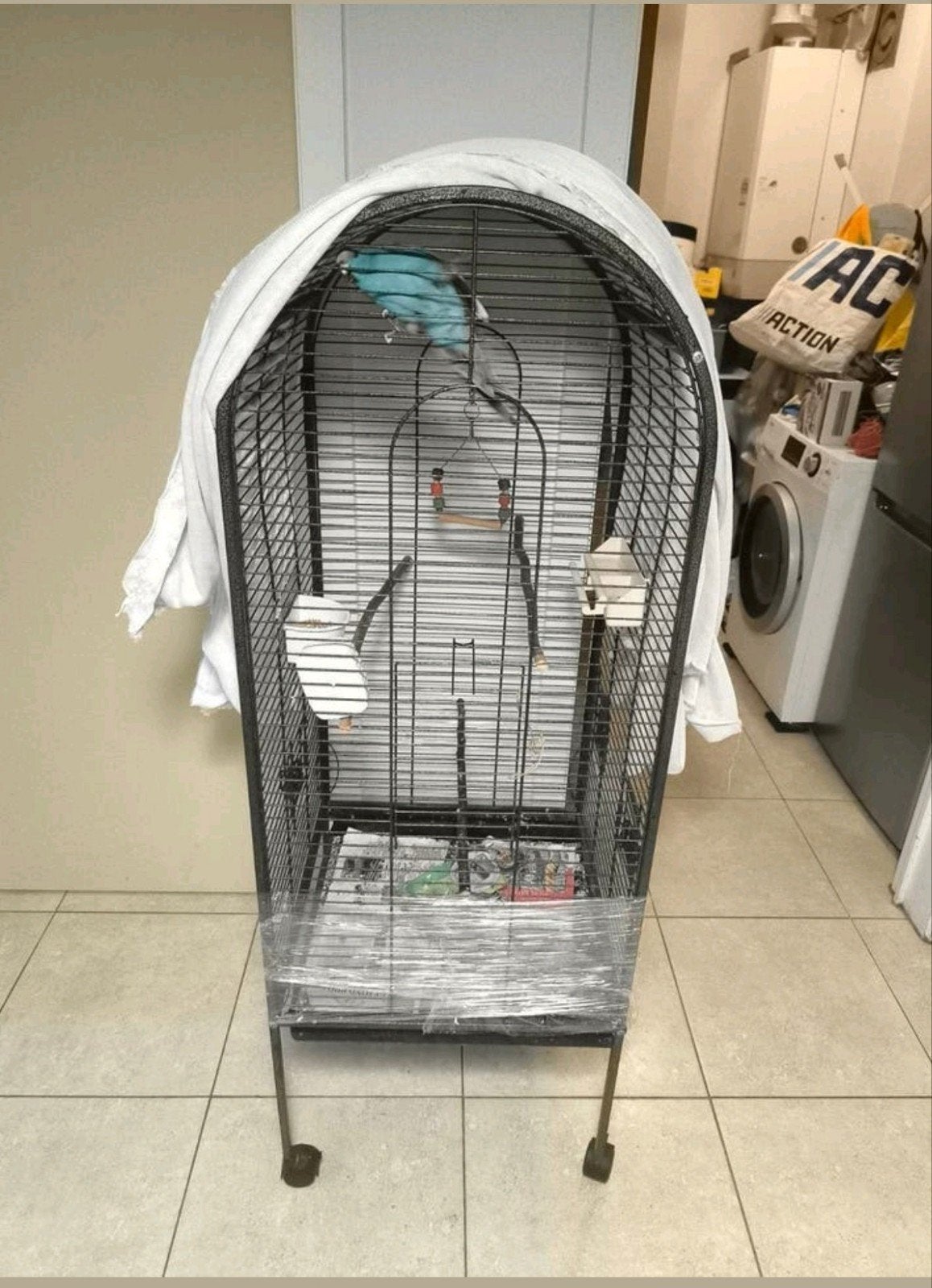 Kakariki met kooi, Dieren en Toebehoren, Ophalen
