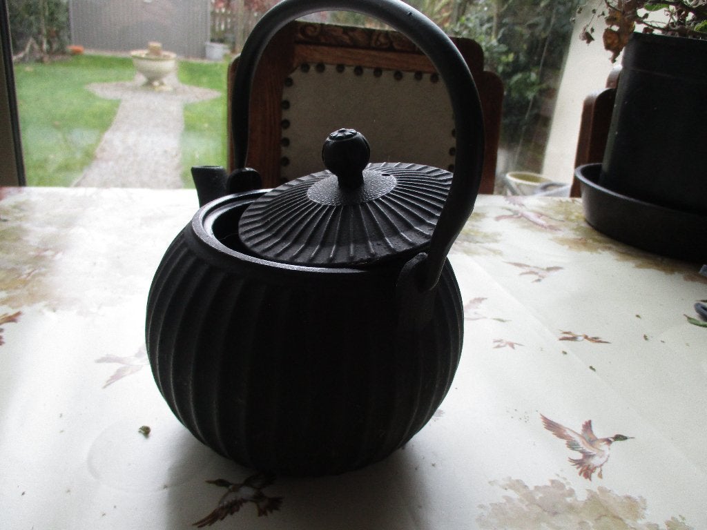 Gietijzeren Theepot, Theepot/fluitketel, Gebruikt, Ophalen of Verzenden, Zwart