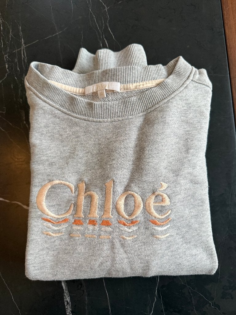 pull gris longue manche Chloé 14 ans, Chloe, Pull ou Veste, Enlèvement, Utilisé