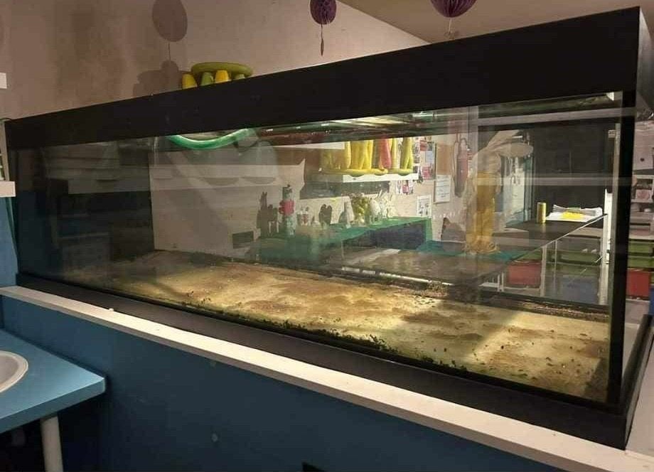 Aquarium (leeg) 2 meter lang, Dieren en Toebehoren, Ophalen, Leeg aquarium