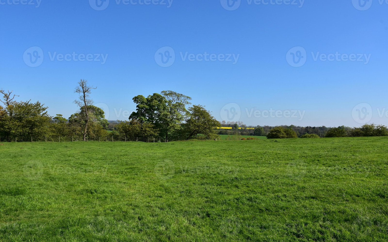 Gras op stam, Ophalen