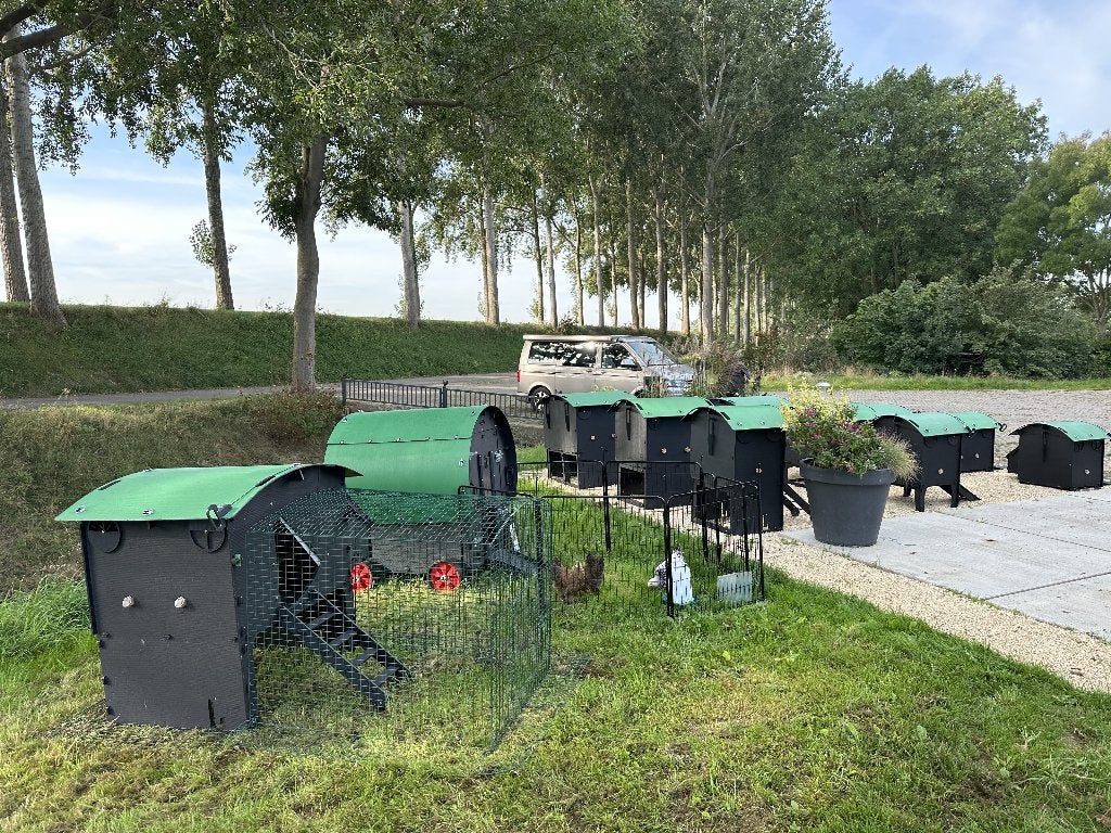 Nestera Kippenhok Large verhoogd | kunststof nachthok, Dieren en Toebehoren, Ophalen of Verzenden, Nieuw, Kippenhok of Kippenren