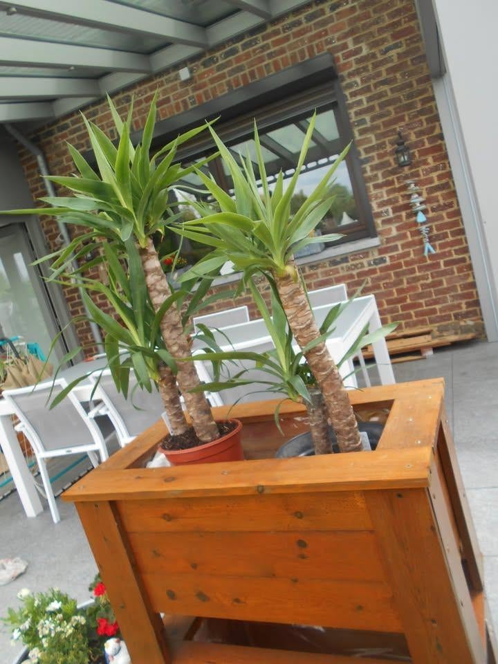 JARDINIERE SUR PIEDS EN BOIS, Jardin & Terrasse, Comme neuf, 30 à 60 cm, Enlèvement, 60 à 100 cm