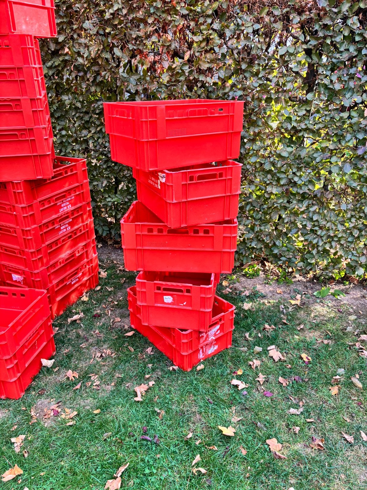 Kunststof voedselcontainer, Ophalen, Gebruikt
