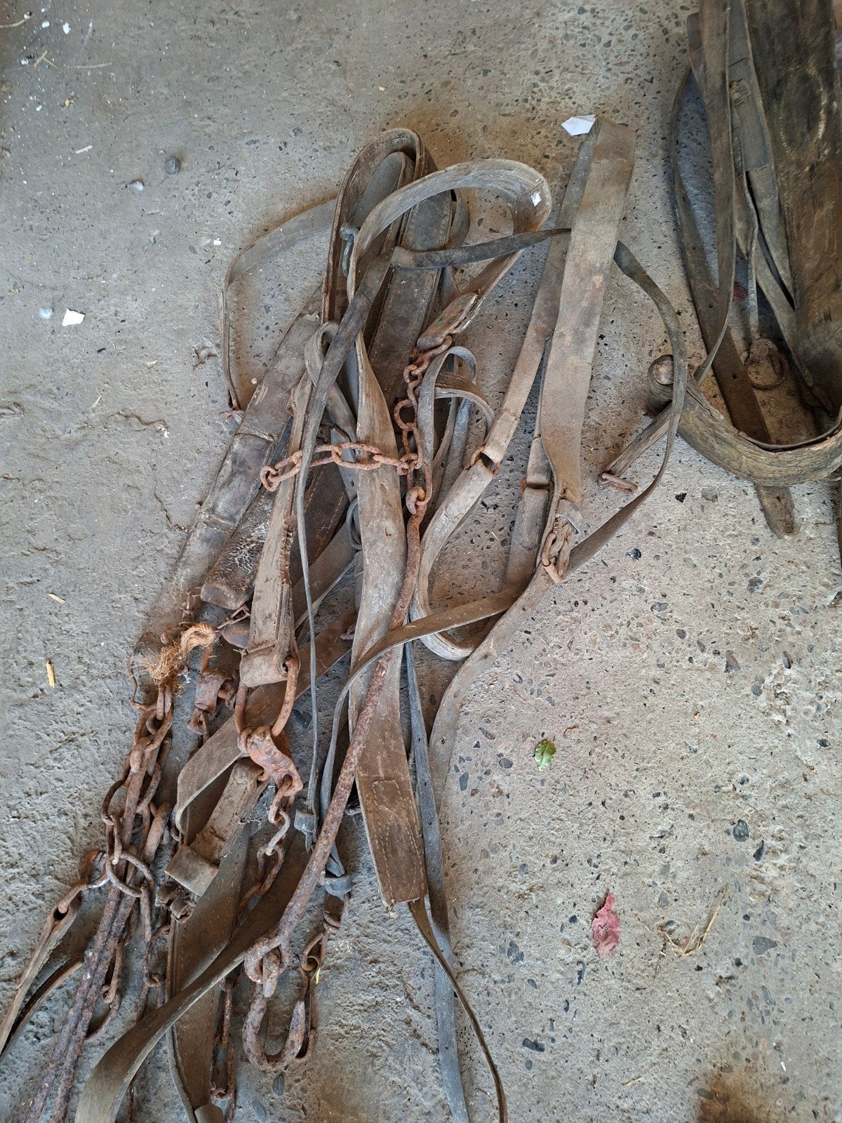 matériel pour le travail avec les chevaux de trait, Enlèvement, Utilisé
