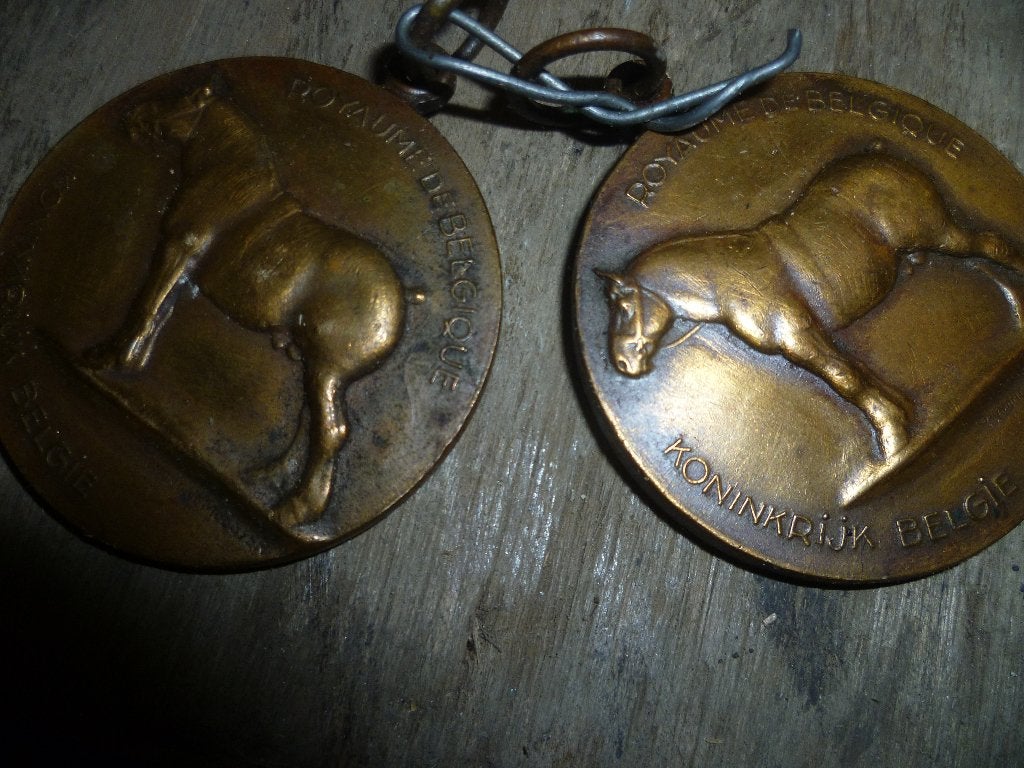 2 OUDE KOPEREN MEDAILLES, Enlèvement