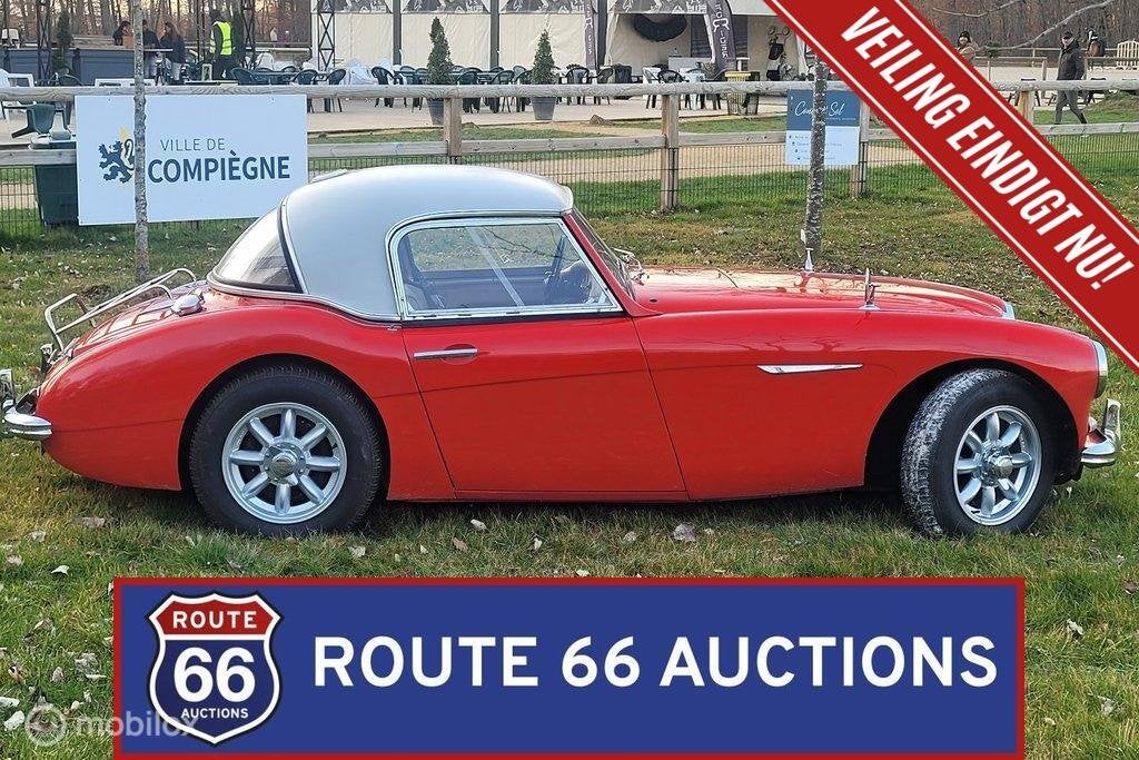 Austin-Healey 3000 Mk II BT7 | Route 66 Auctions, Auto's, Overige merken, Zwart, Bedrijf, Handgeschakeld