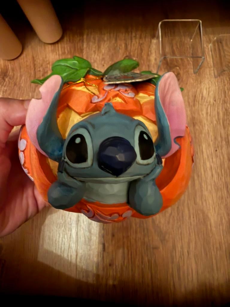 Stitch o’ lantern, Ophalen of Verzenden