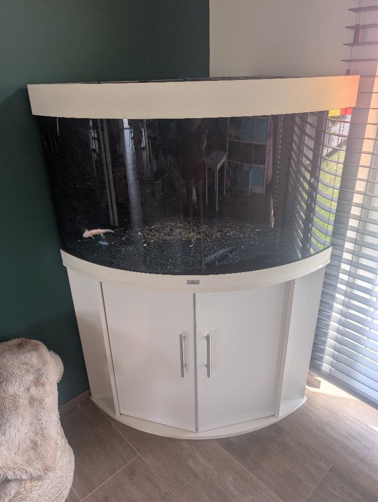 Juwel Trigion, led, 3 Axolotl en zeer veel toebehoren, Ophalen, Inclusief vissen, Juwel, Gevuld zoetwateraquarium