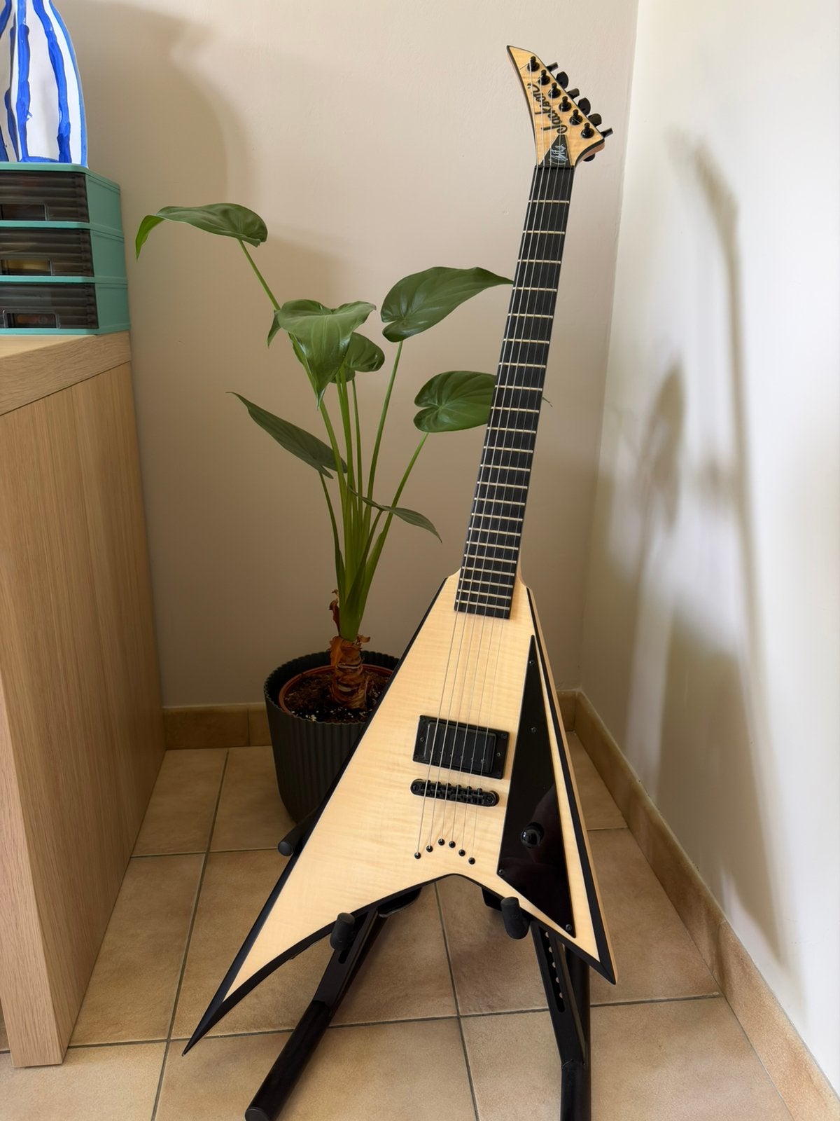 Jackson pro series rhoads christian andreu gojira signature, Musique & Instruments, Instruments à corde | Guitares | Électriques