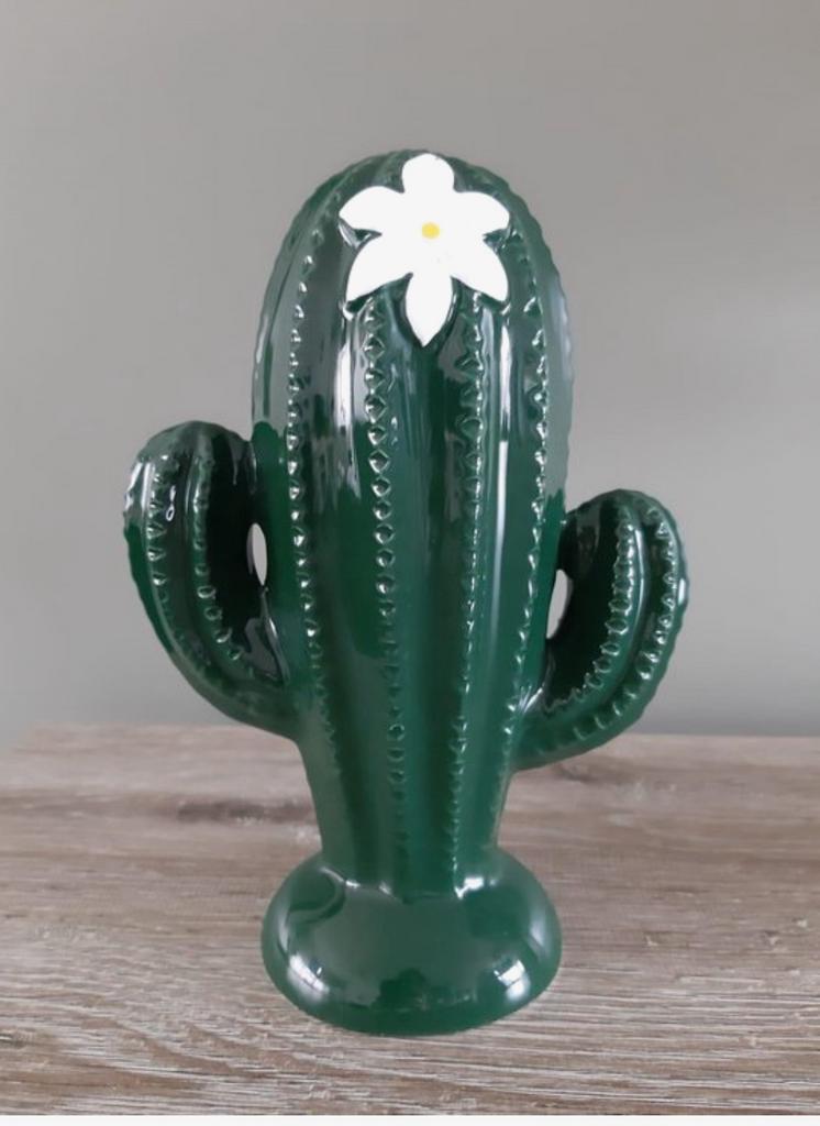 Serax Cactus Marie  Michielssen, Enlèvement