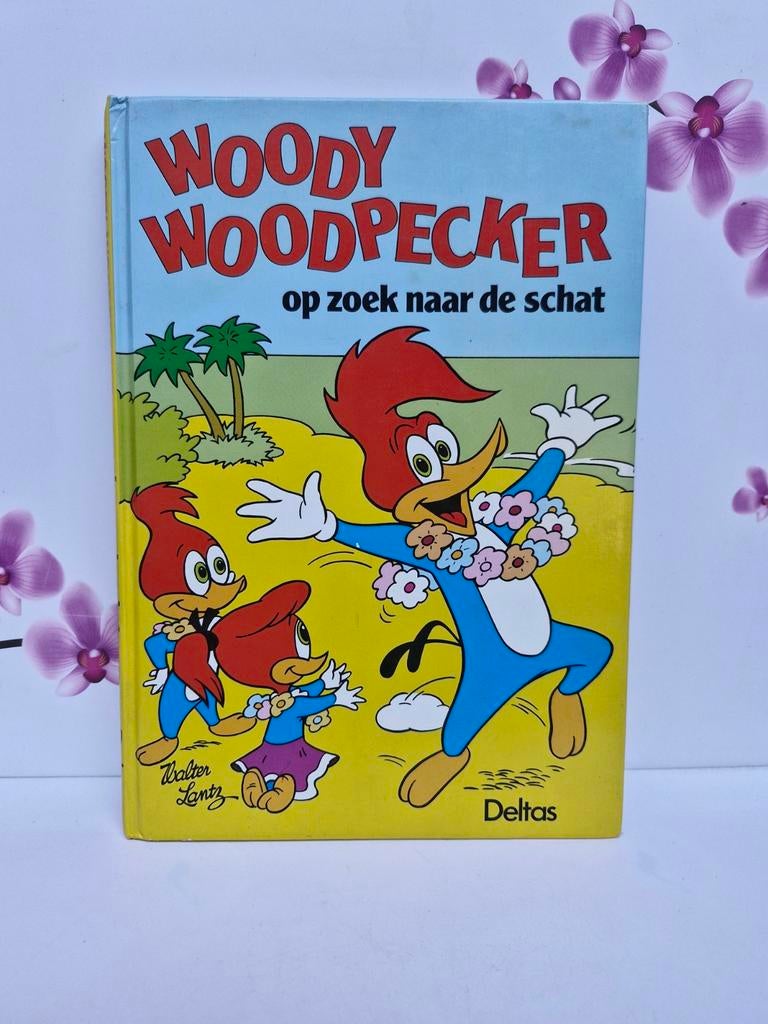 💙 Boek : Woody woodpecker - Op zoek naar de schat, Enlèvement ou Envoi, Comme neuf