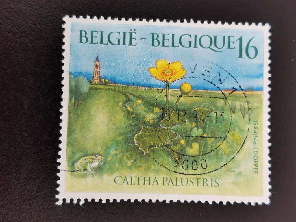 Belgique 1994 - fleurs sauvages - floraison du populage, Enlèvement ou Envoi, Affranchi