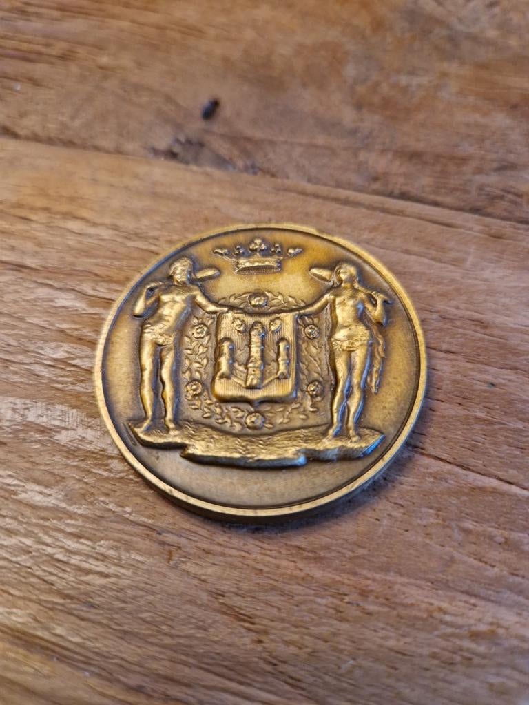 Bronzen medaille Scaldis Antwerpen, Enlèvement ou Envoi