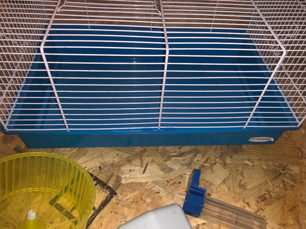 Cage rongeur, Animaux & Accessoires, Cage, Utilisé, Moins de 60 cm, Souris