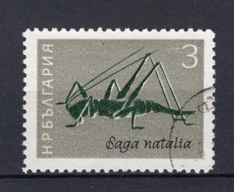 BULGARIE Yt. 1249 estampillée 1964, Enlèvement ou Envoi, Bulgarie, Affranchi