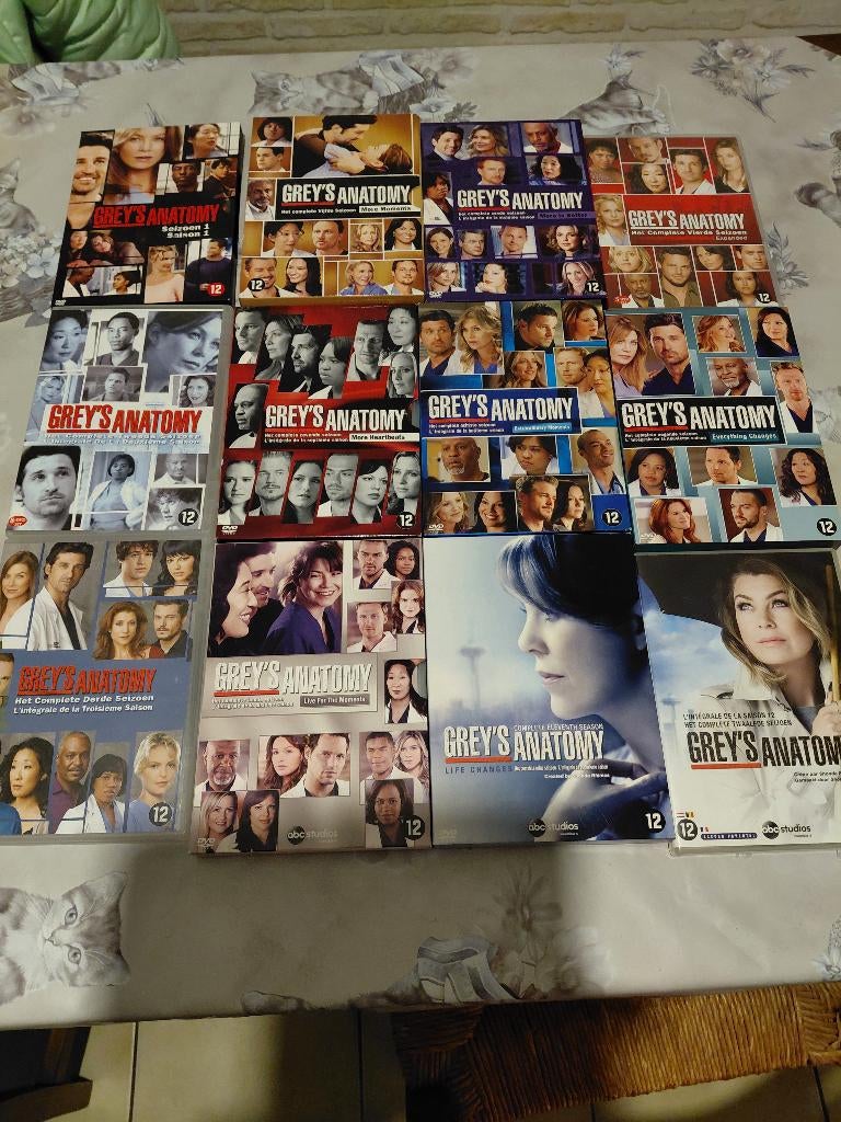 Grey s anatomy serie 1 tot 12, Drame, Coffret, Comme neuf, Enlèvement