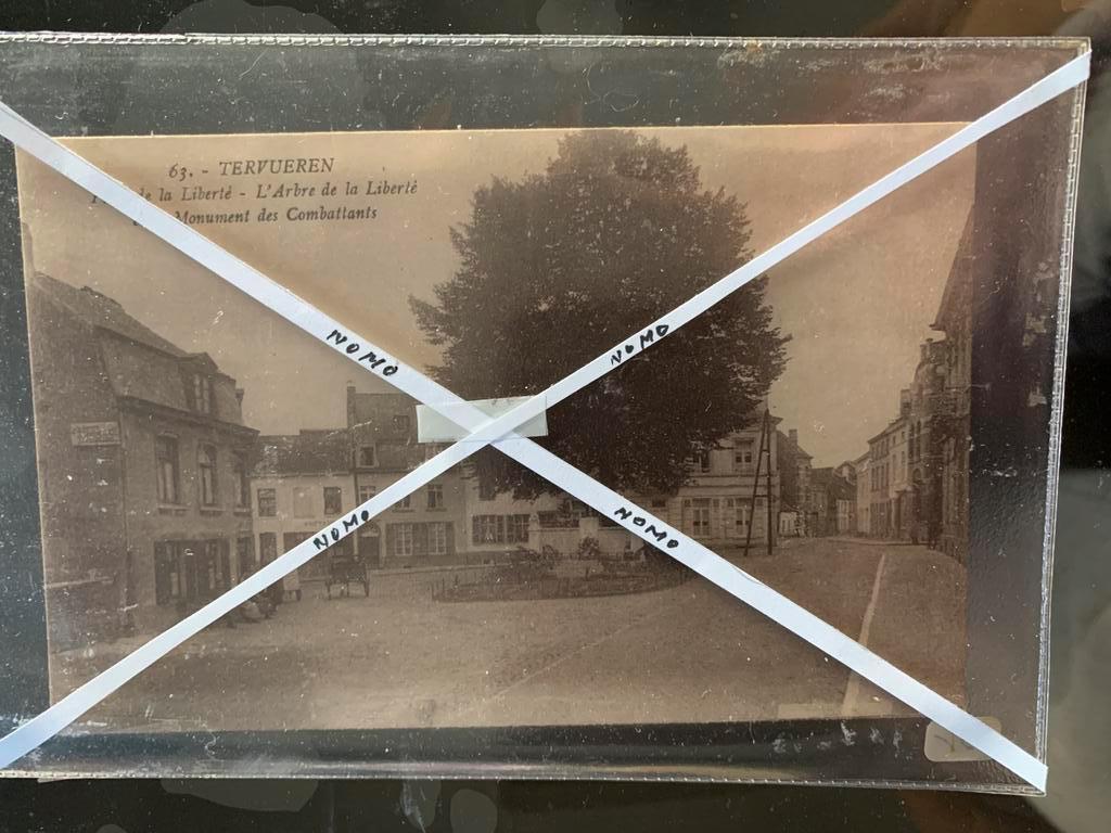 Arbre de la liberté de Tervuren 14, Enlèvement ou Envoi, Non affranchie, Brabant Flamand