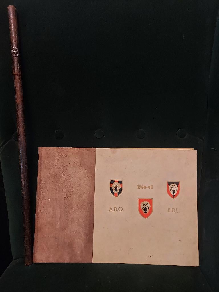 Set officiersstok + boek Belgische bezettingsmacht Duitsland, Collections, Objets militaires | Seconde Guerre mondiale, Enlèvement ou Envoi